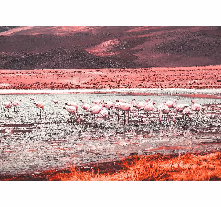 Fototapeten weitere tiere flamingo lebensraum szene - TenStickers