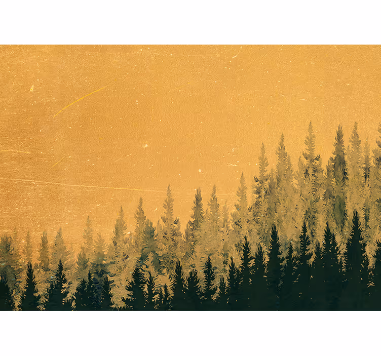 Fototapete natur mit kiefernbaum-silhouette - TenStickers