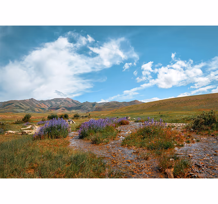 Fototapete Natur Grüne wiese blumen berge - TenStickers