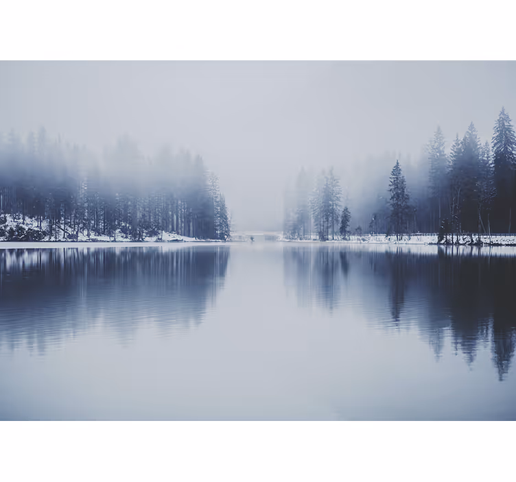 Fototapete Natur Winternebelwald - TenStickers