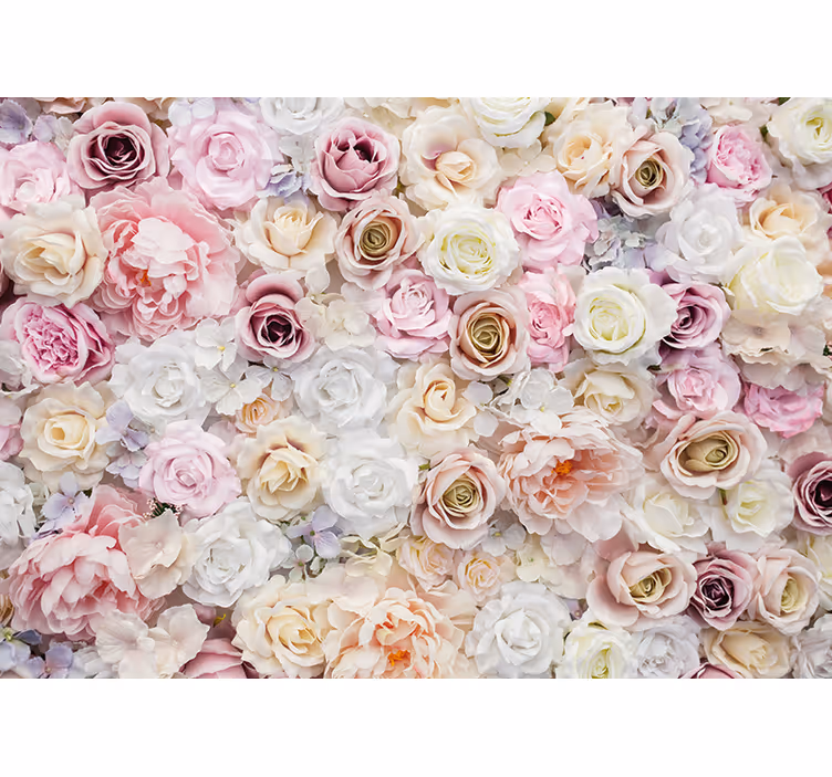 Fototapete blumen rose blüten kollektion - TenStickers