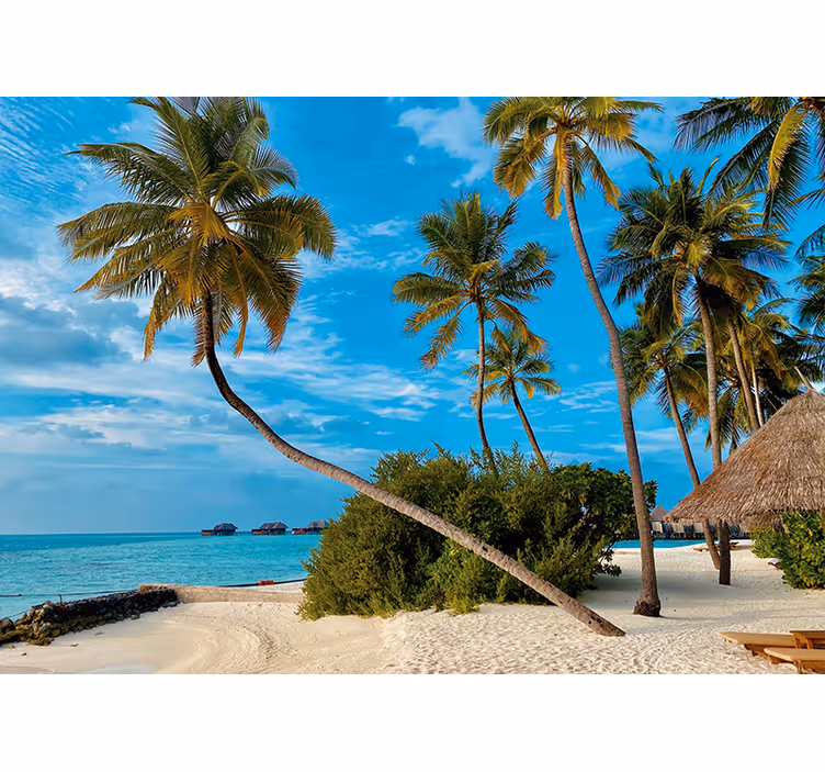 Fototapete natur tropisches palmenlandscape - TenStickers