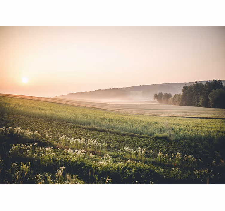 Fototapete landschaft ruhige grüne wiesen - TenStickers