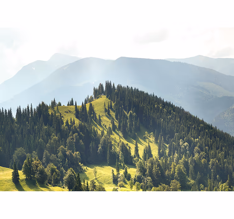 Fototapete landschaft bergwaldszene - TenStickers