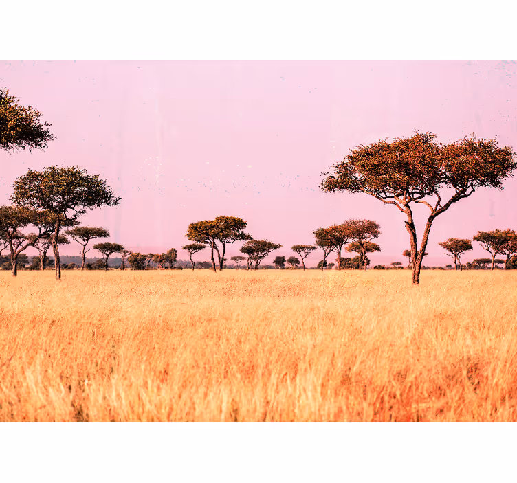 Fototapete landschaft serene savanne - TenStickers