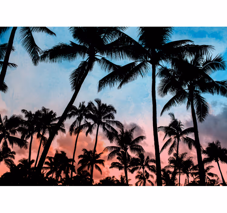 Fototapete natur tropische palmschatten - TenStickers