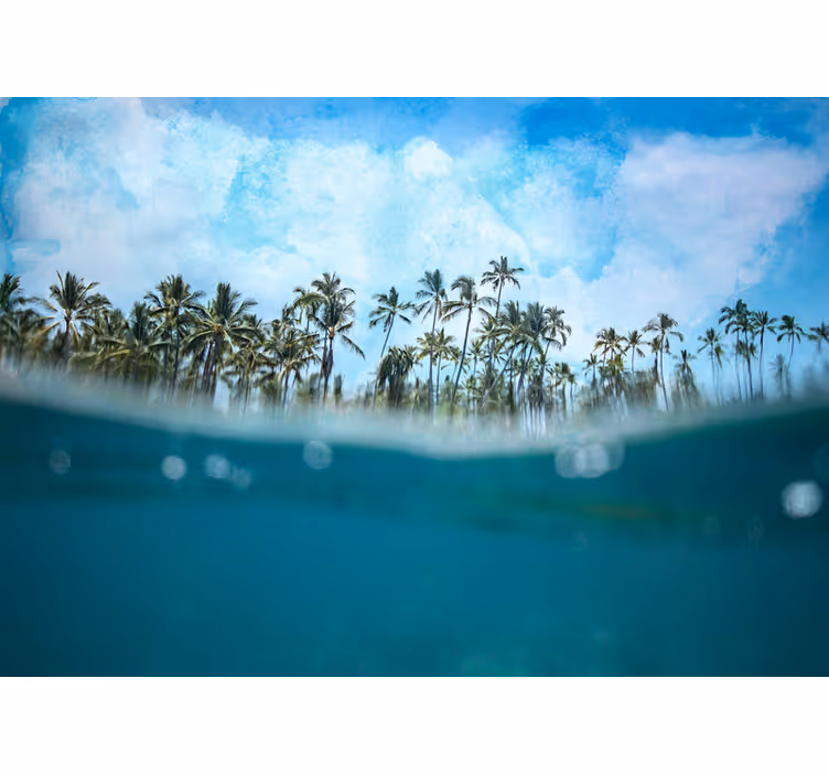 Fototapete natur palmenbaum horizont - TenStickers