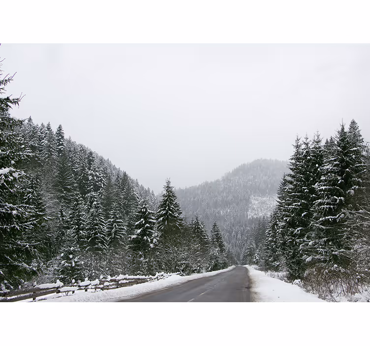 Fototapete berge eiskalte berglandschaft - TenStickers