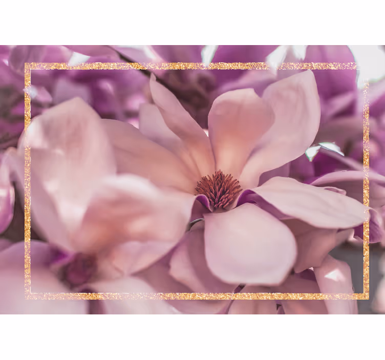 Fototapete blumen magnolienblüte nahaufnahme - TenStickers