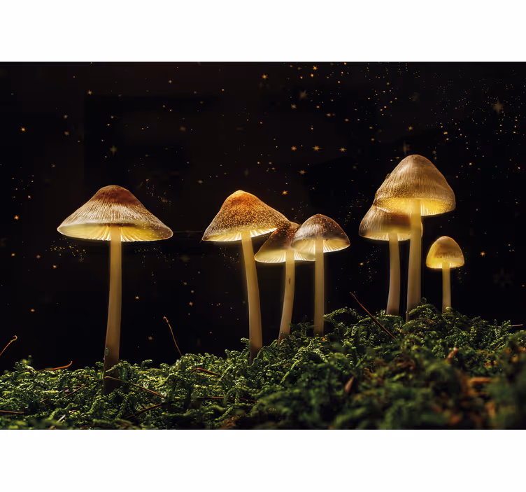 Fototapete natur leuchtende pilzszene - TenStickers
