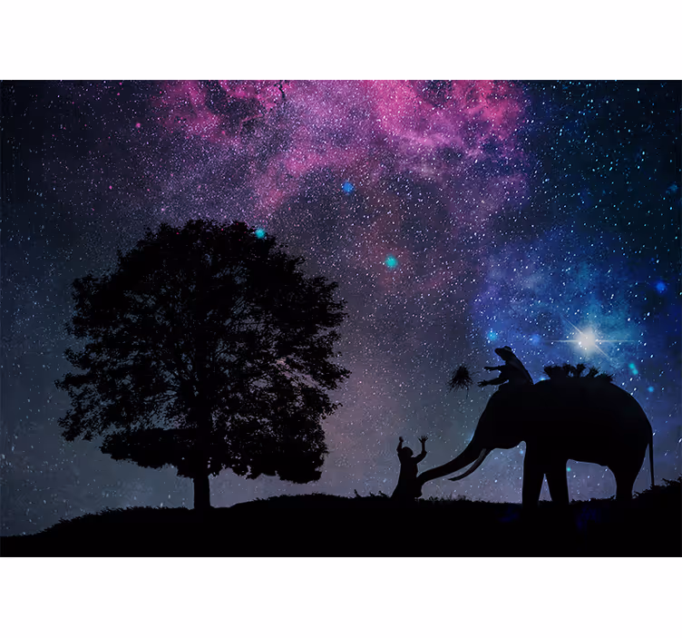 Fototapete spruch kosmisches elefantenabenteuer - TenStickers