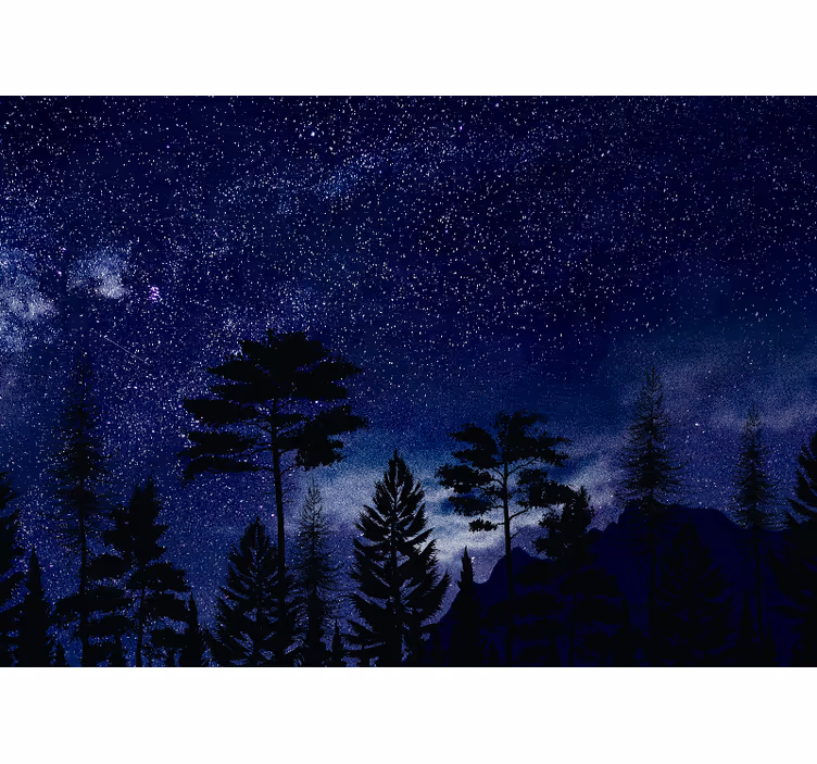Fototapete himmel mit silhouetten eines sternenwaldes - TenStickers