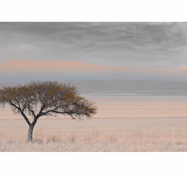 Fototapete natur einsame baumlandschaft - TenStickers