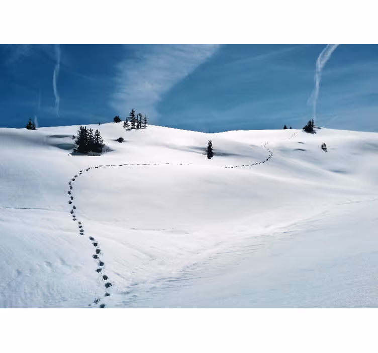 Fototapete berge schneepfad im gebirge - TenStickers