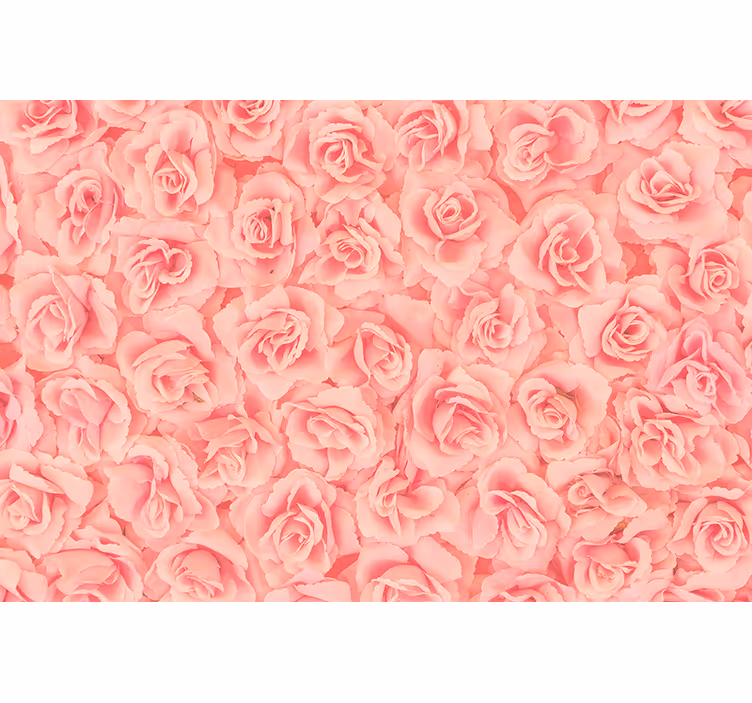 Fototapete blumen rosen in voller blüte - TenStickers