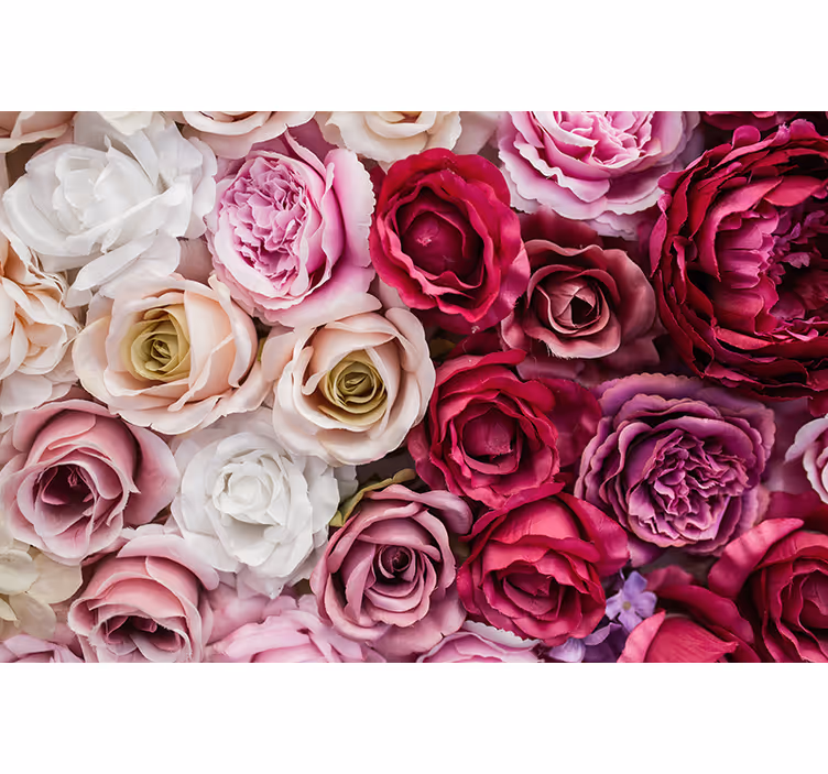 Fototapete blumen wunderschöne rosenkollektion - TenStickers