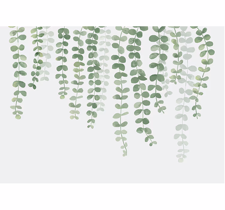 Fototapete Andere Blumen Vintage glycine auf weißem Hintergrund - TenStickers