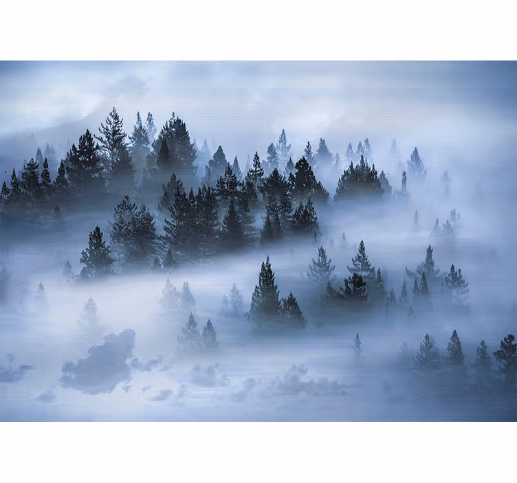 Fototapete natur haze in den immergrünen wäldern - TenStickers