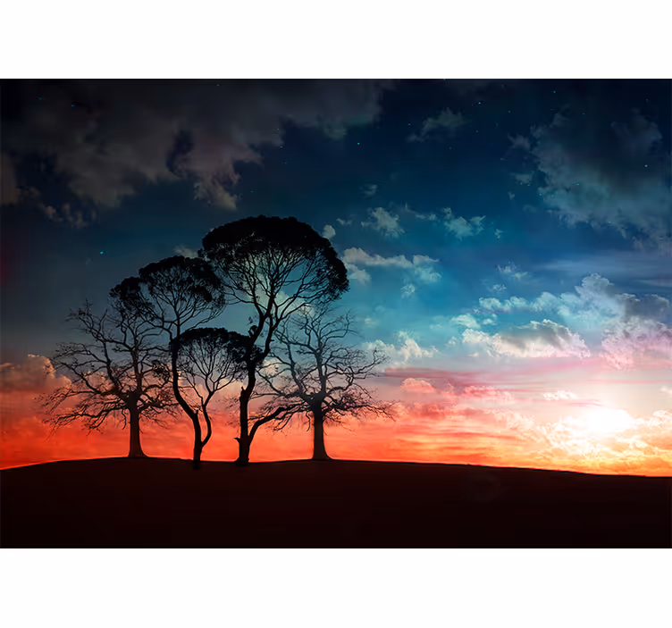 Fototapete baum silhouette baum sonnenuntergang - TenStickers