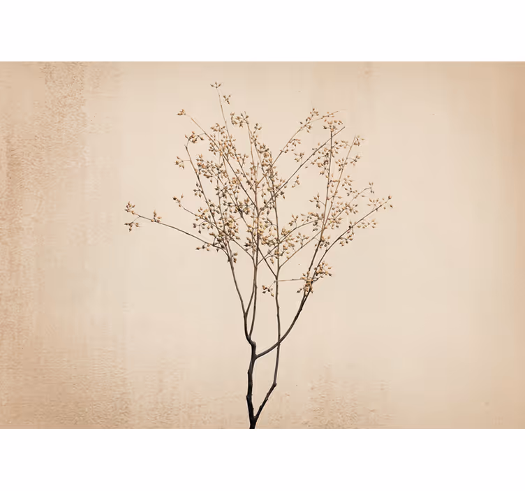Fototapete blumen zarte blumenranke - TenStickers