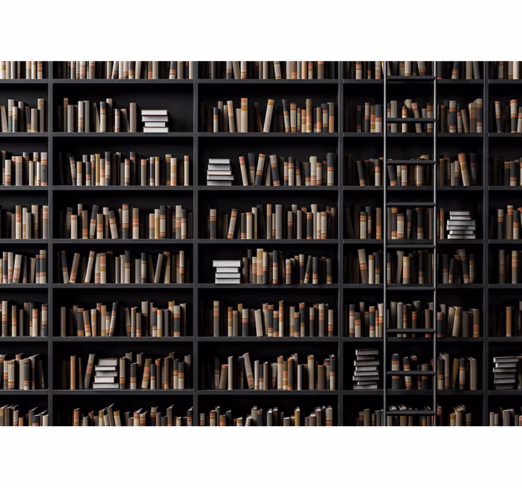 Fototapete 3D Bücherregale optische täuschung - TenStickers