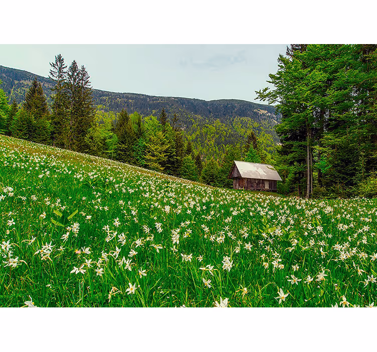Fototapete natur ruhige ländliche landschaft - TenStickers