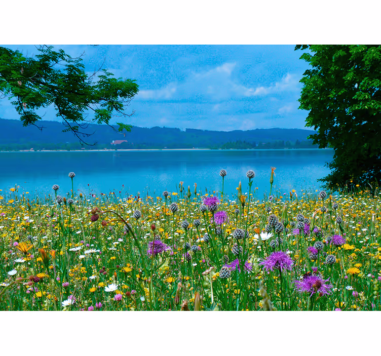 Fototapete blumen Üppige wiesenflora - TenStickers