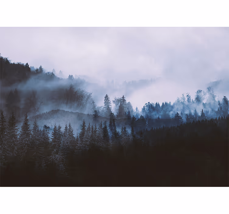 Fototapete wald neblige immergrüne landschaft - TenStickers