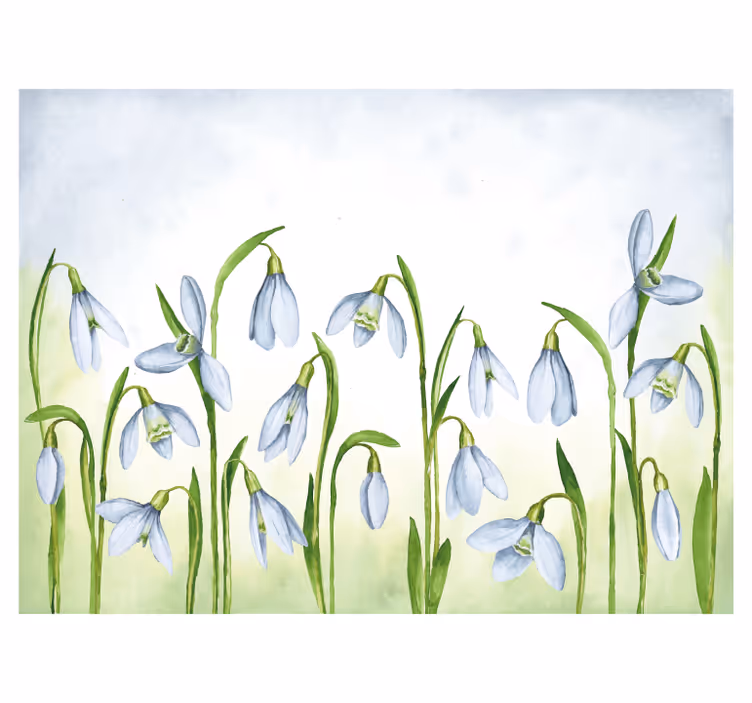 Fototapete Andere Blumen Schönes schneeglöckchen blumendesign - TenStickers