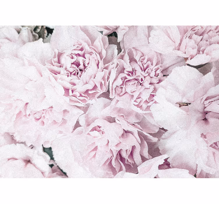 Fototapete blumen sanfte rosa blüten - TenStickers
