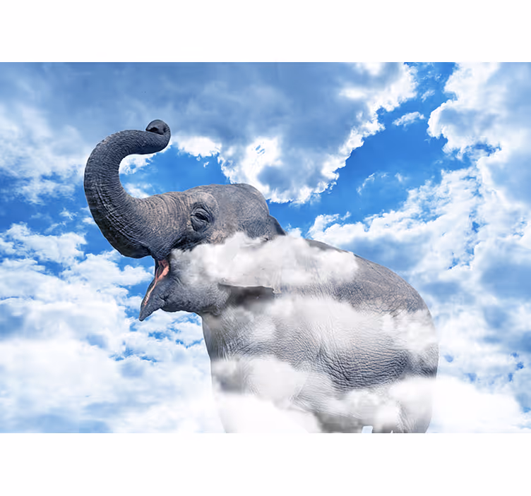Fototapete Tiere Elefant in den wolken - TenStickers