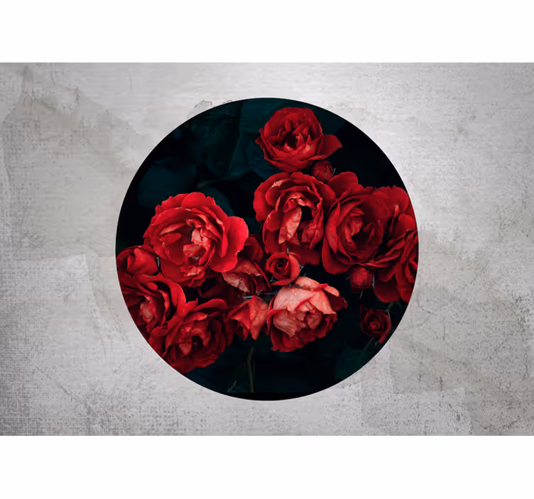 Fototapete rose rote rosenblüten - TenStickers