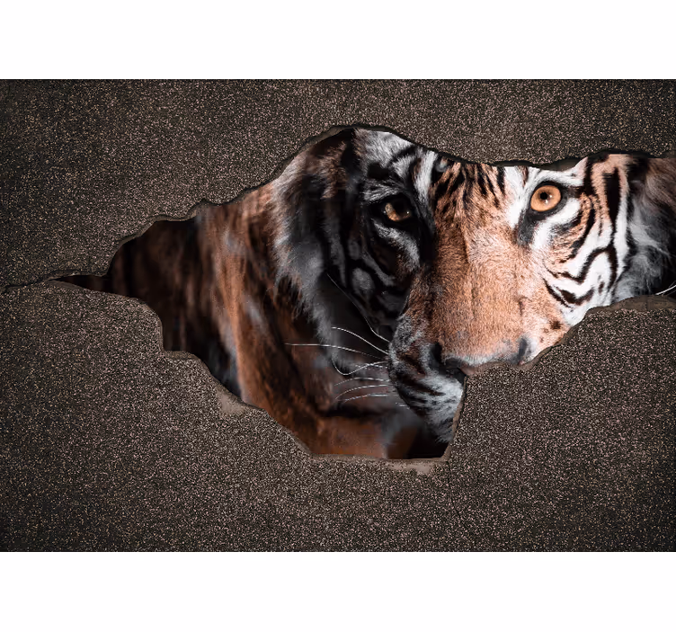 Fototapeten weitere tiere tiger nahaufnahme - TenStickers