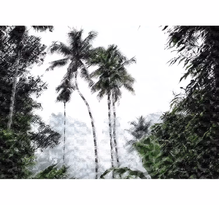 Fototapete natur palmbaum ruhe - TenStickers