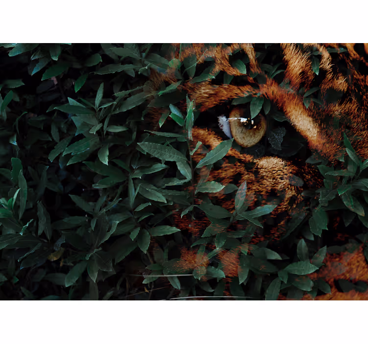 Fototapete Tiere leopard im laub - TenStickers