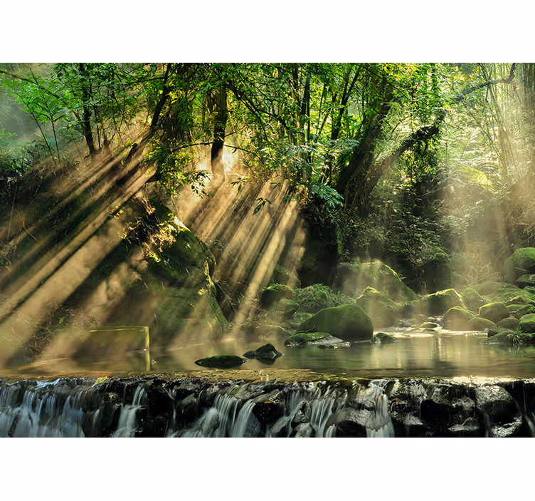Fototapete Natur sonnenbeschienenen waldbach - TenStickers