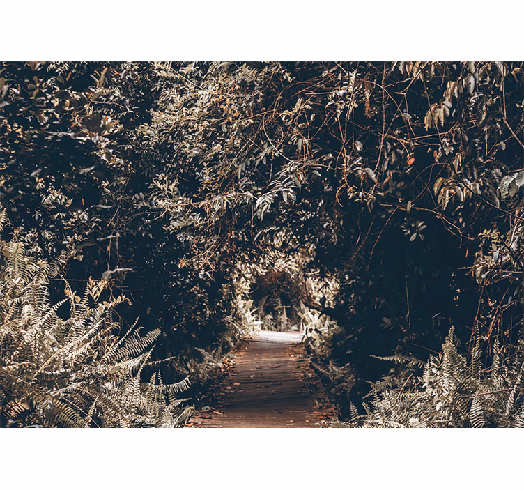 Fototapete natur waldweg pfad - TenStickers