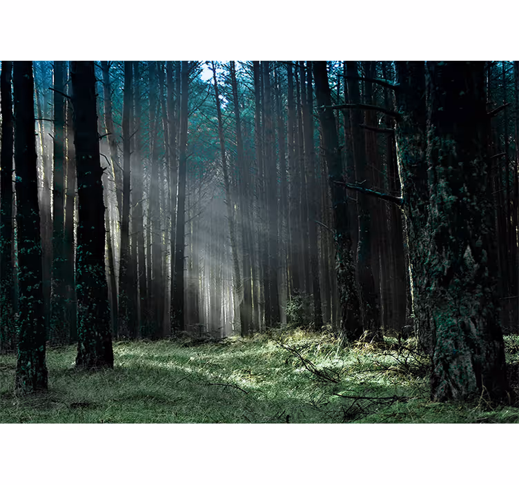 Fototapete natur blauer nebelwald - TenStickers