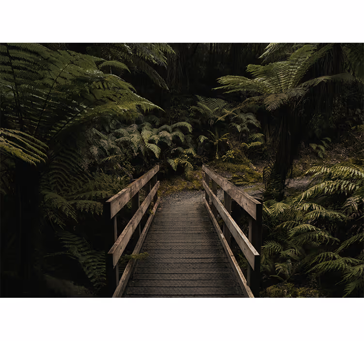 Fototapete wald holzbrücke spaziergang - TenStickers