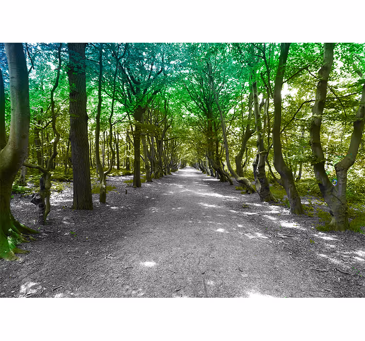 Fototapete natur Üppiger baumweg - TenStickers