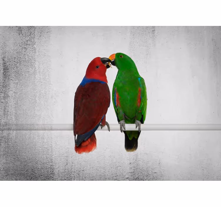Fototapeten weitere tiere bunte papageien interaktion - TenStickers