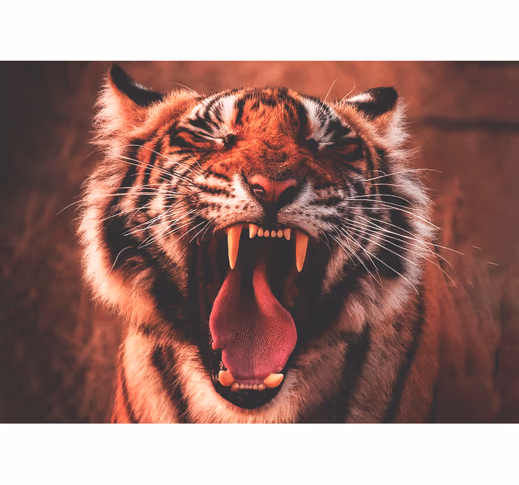 Fototapeten weitere tiere majestätischer tigerbrüller - TenStickers