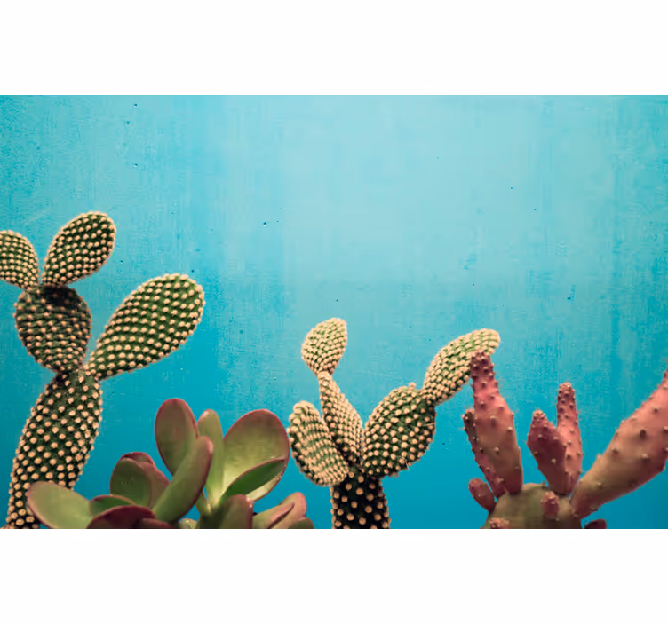 Fototapete Andere Blumen Kaktuspflanzen blaue wand - TenStickers