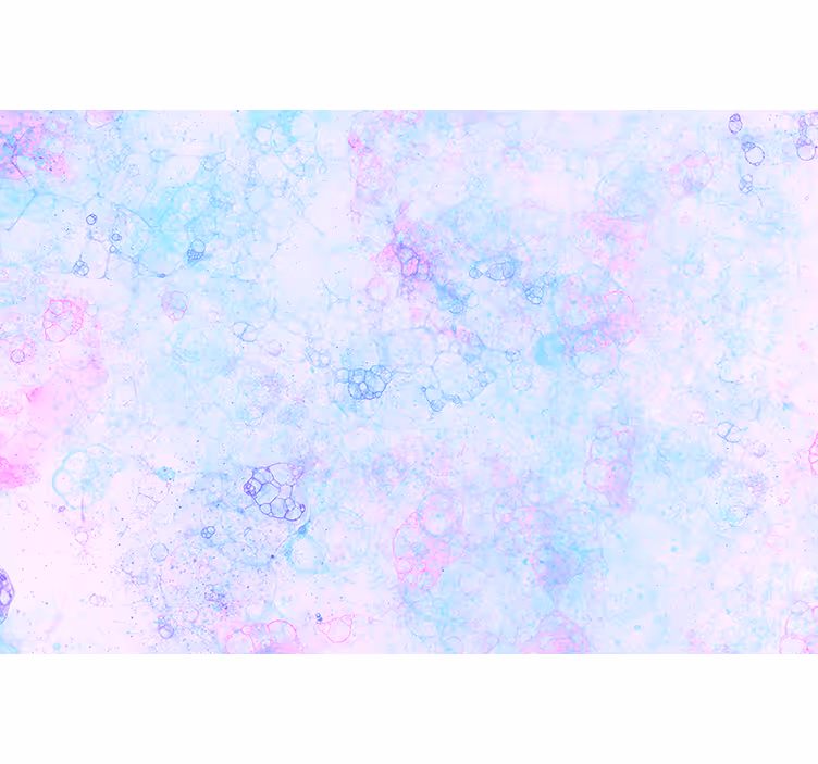 Fototapete 3D rosa und blaue Blasen - TenStickers