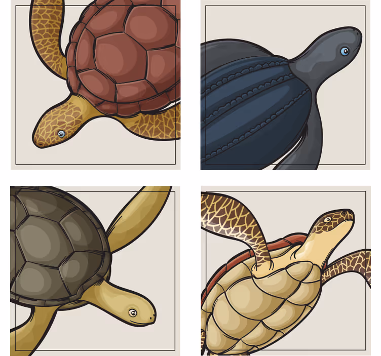 Untersetzer Schildkröten Fliese - TenStickers