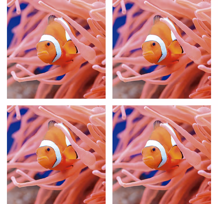 Untersetzer Fisch Clownfisch - TenStickers