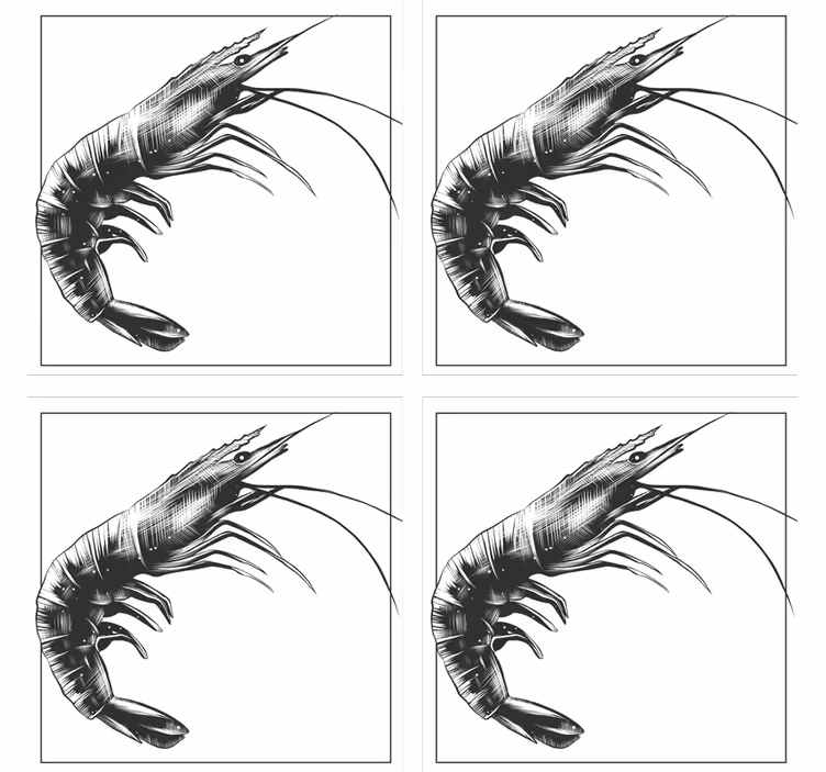 Untersetzer modern mit stilisierter garnelenillustration - TenStickers