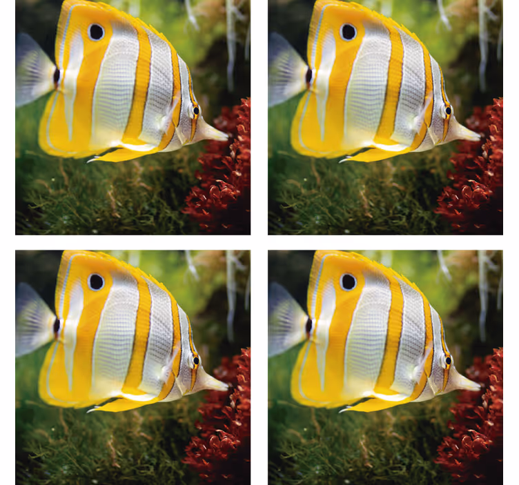 Untersetzer Fisch Weißer und gelber Fisch - TenStickers