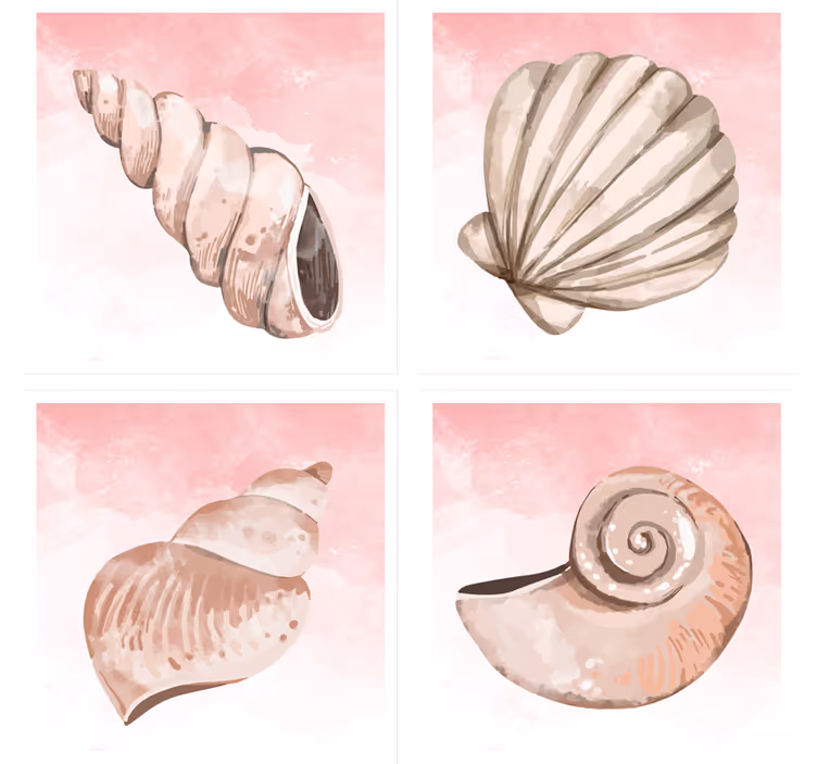 Muschel Untersetzer Muscheln aquarell - TenStickers