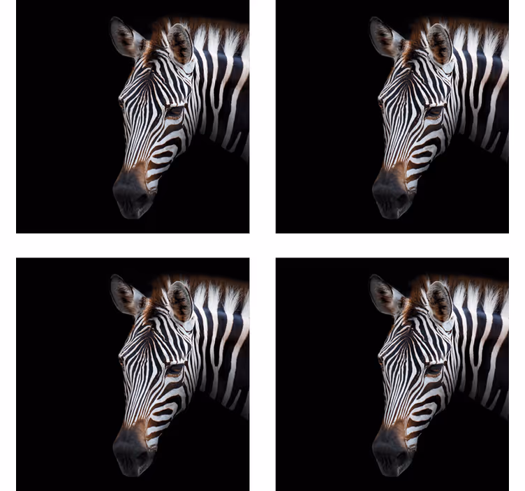 Untersetzer modern mit zebrahaupt illustration - TenStickers